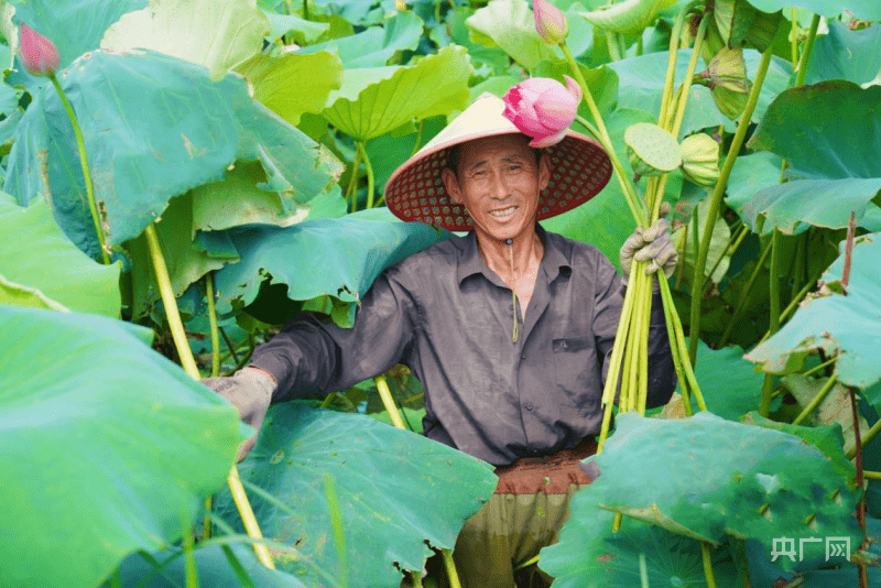 "莲动夏日 绽放丰彩"第七届丰乐荷花节暨十大荷花宴菜品评选活动举办