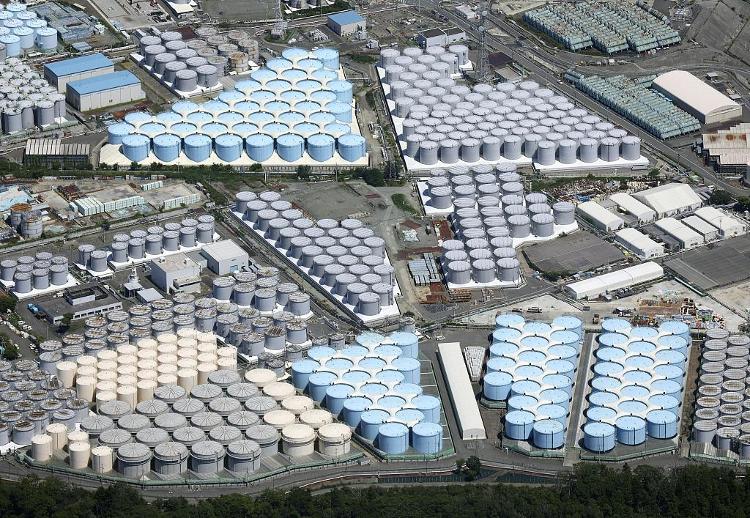 日本核污染水明天开排！进口海鲜还能吃吗？是否囤盐？