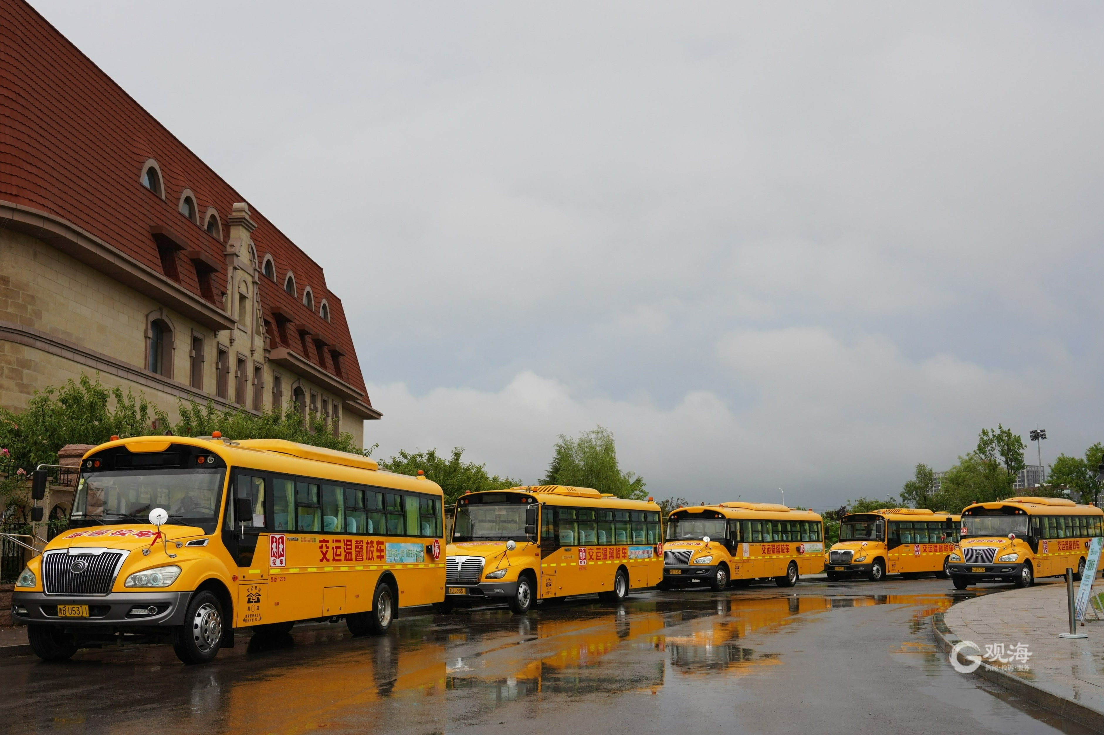 开学首日,青岛"大鼻子"校车护航12.5万学子顺利入学-齐鲁晚报网