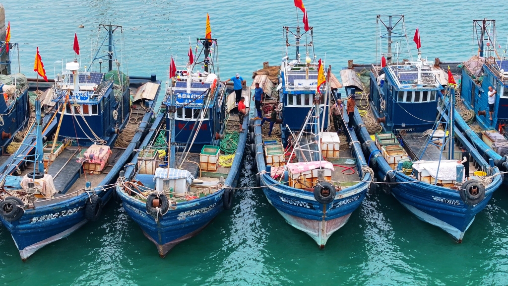 黄渤海休渔期结束,即墨山东头300条渔船起航出海-齐鲁晚报网