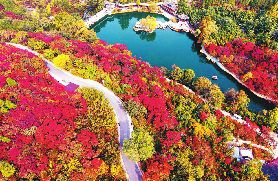 醉美金秋!深秋济南红叶谷诗意迷人成仙境