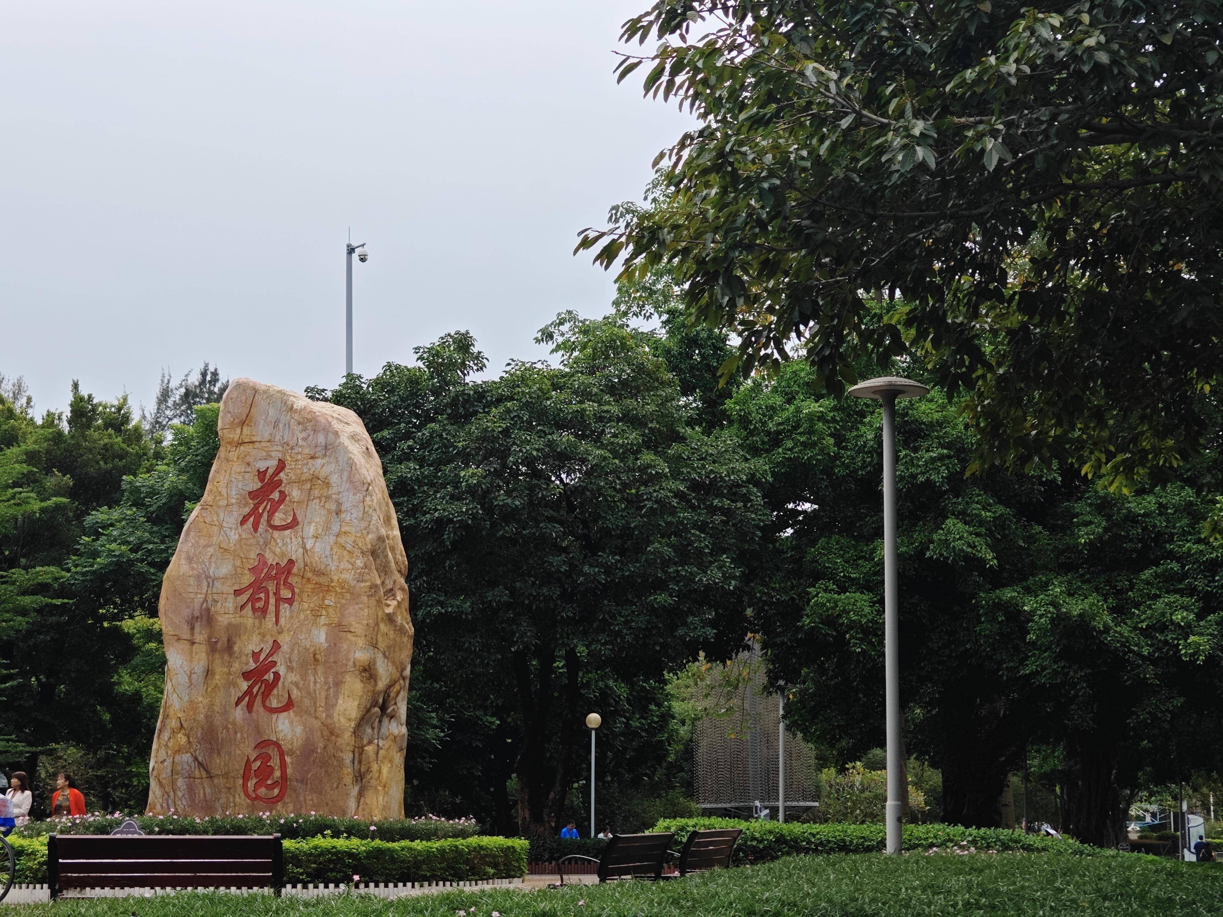 武大璎珞植花都,广州新增一处景观打卡地