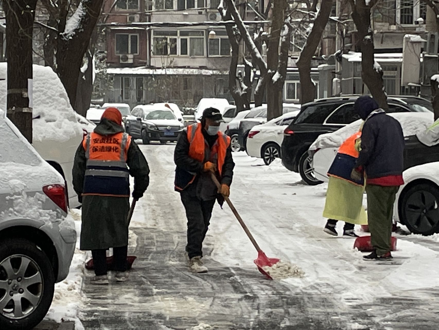 环保行动扫雪图片