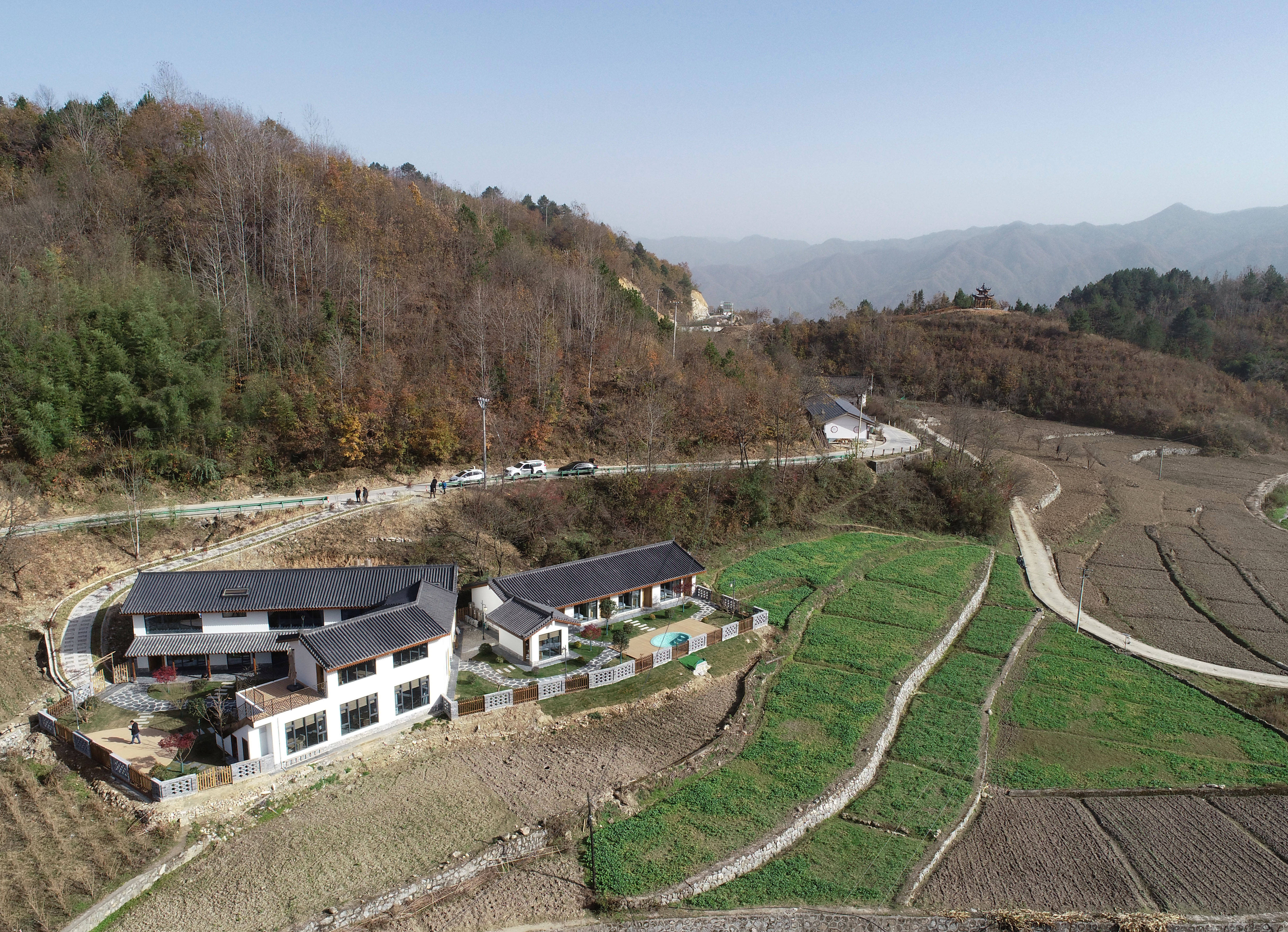 乡村行·看振兴做好山间林下"绿文章"——秦岭山区小县宁陕乡村振兴