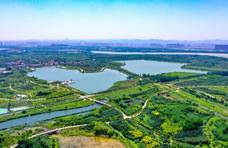 绿色助力宜居 数字赋能智慧 济南起步区新城要这样创新发展