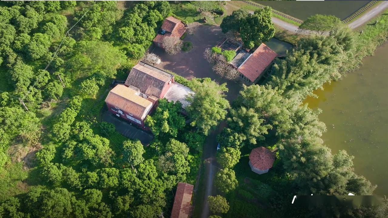 杜马禅园航拍画面.