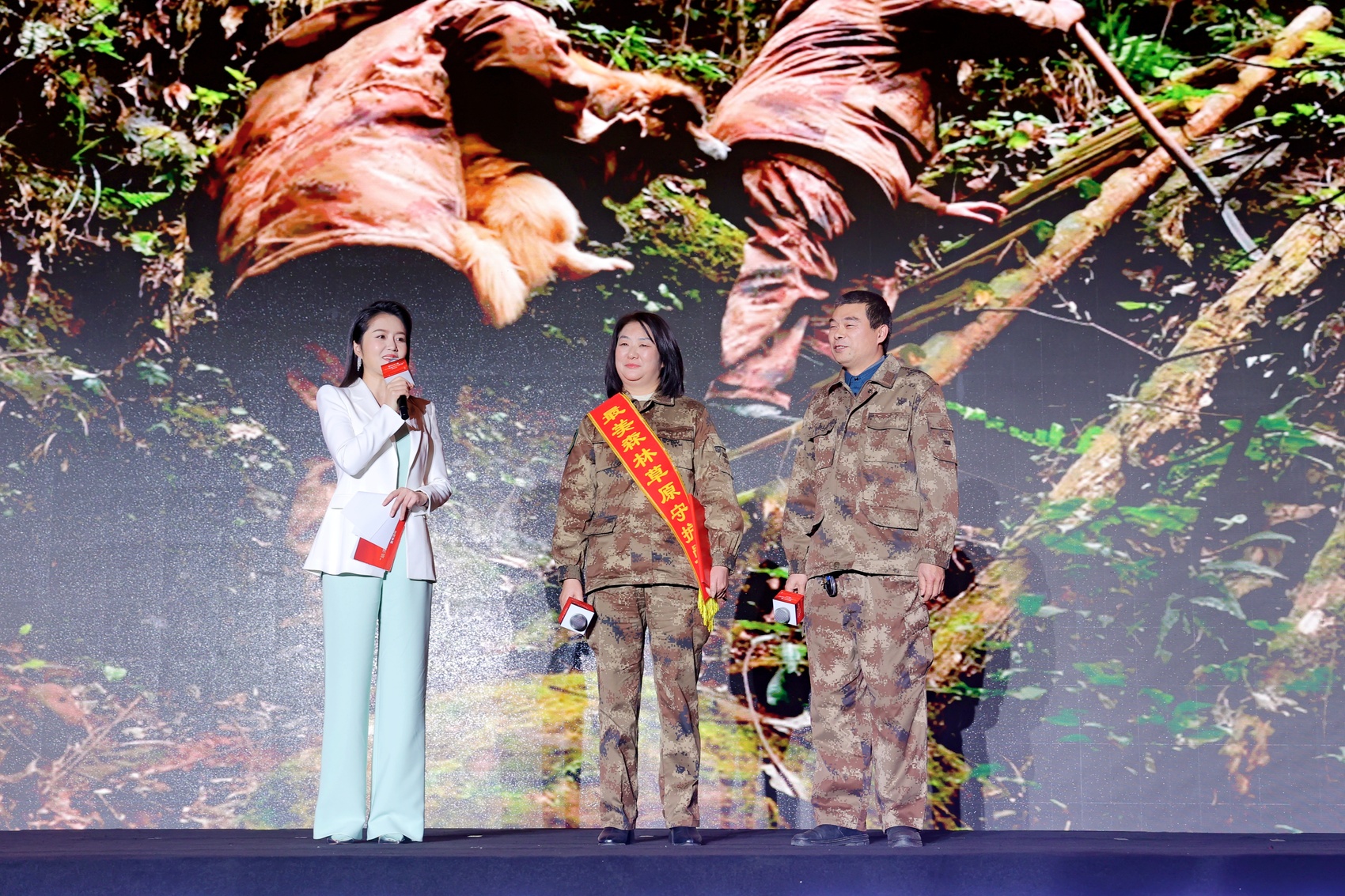 c视频丨四川省第二届"最美森林草原守护员"公布-齐鲁晚报网