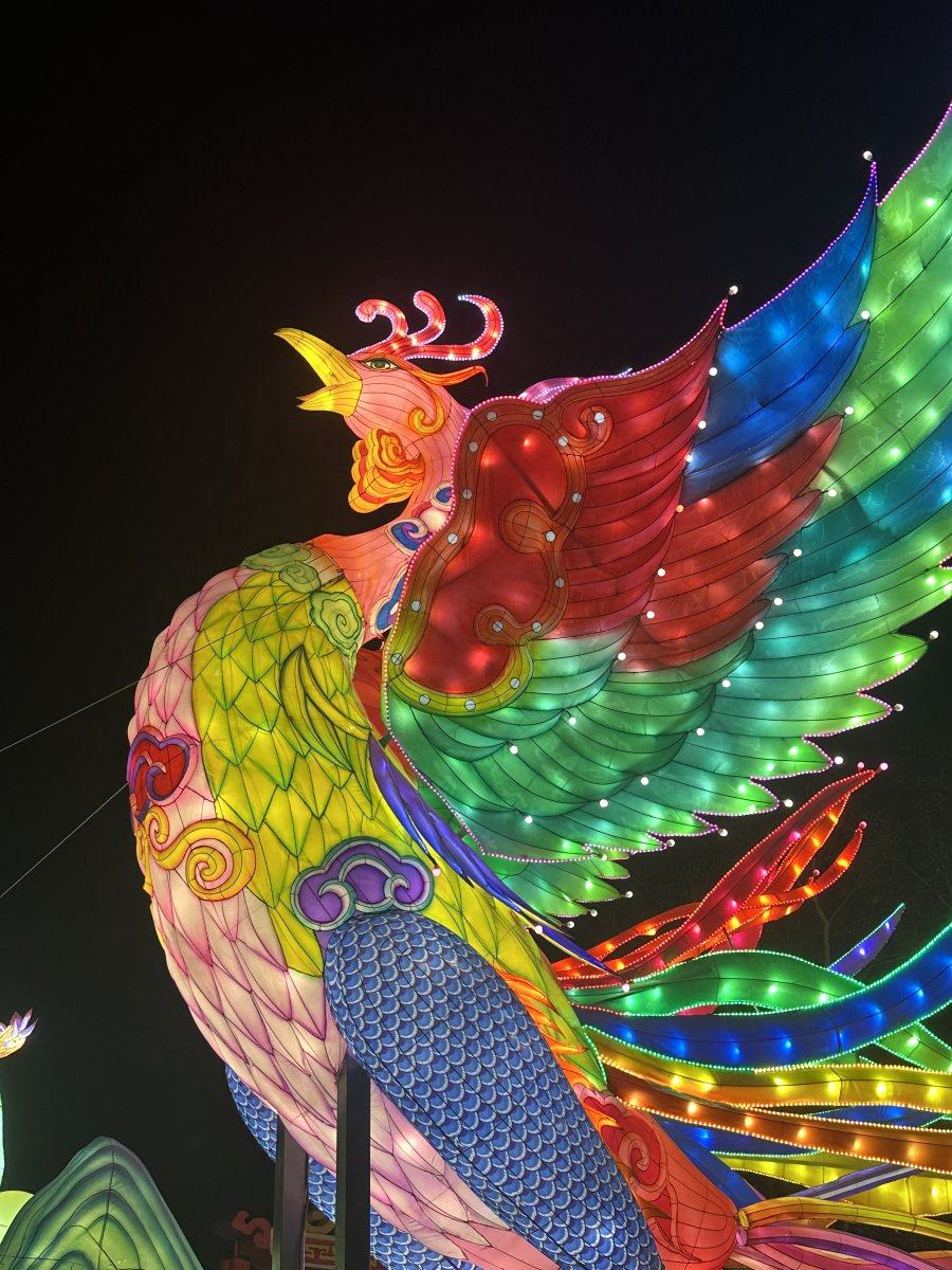 全城环卫工人和外卖员可免费入园观灯郑州龙年迎春灯会开园在即