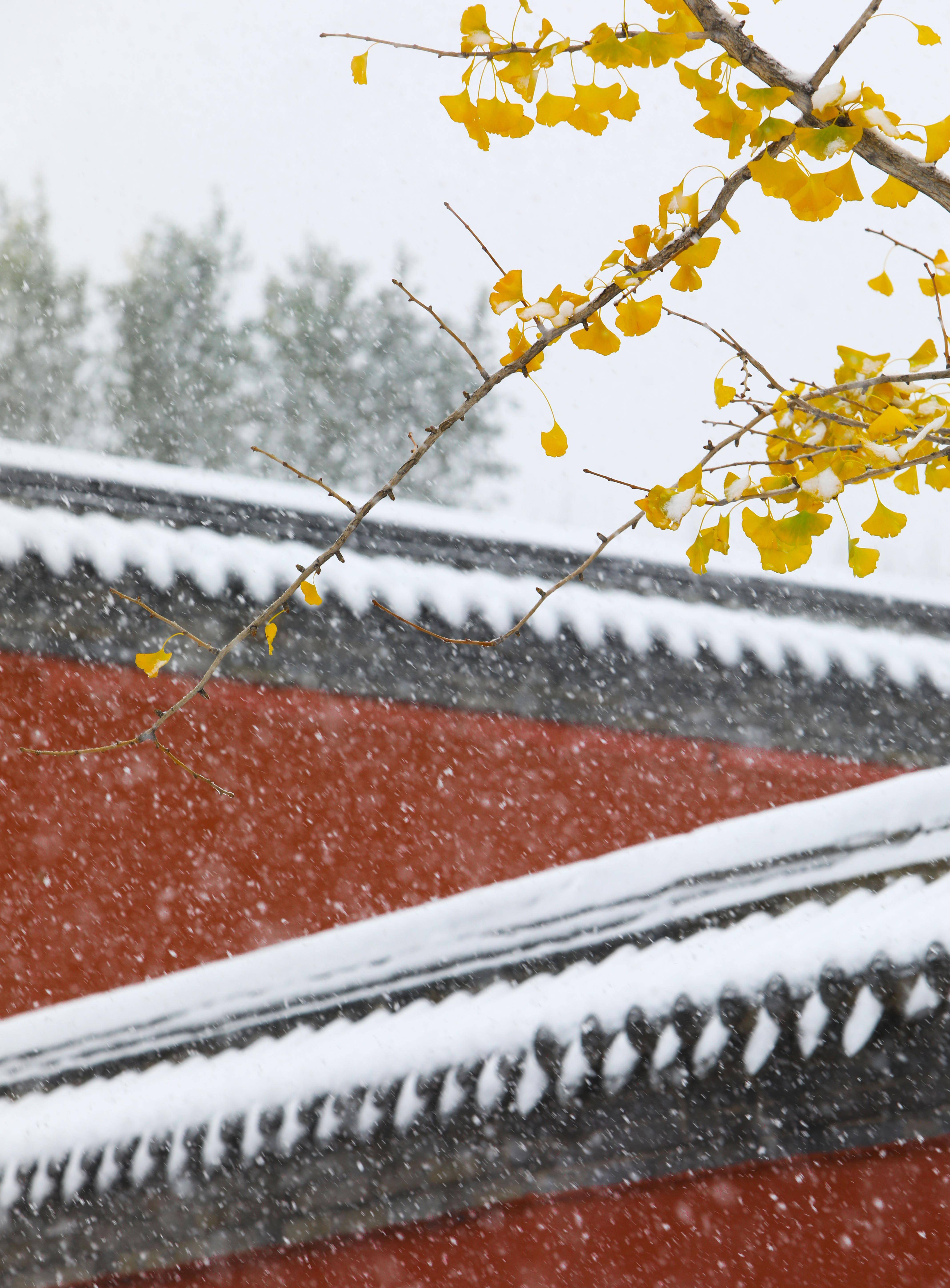 我在现场·照片背后的故事寻迹山海:从眼中景到"意中人"