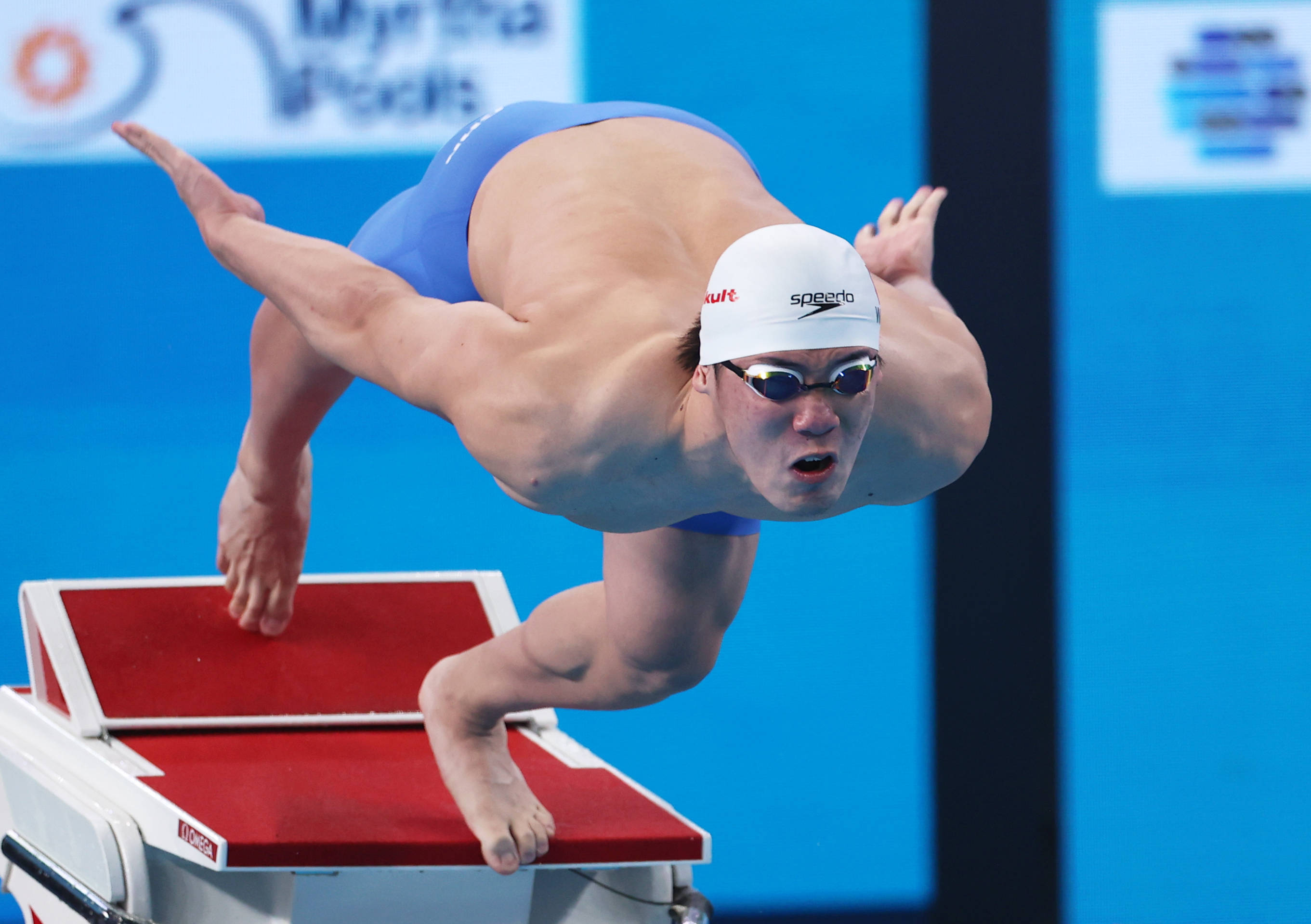 自由泳100米世界纪录图片