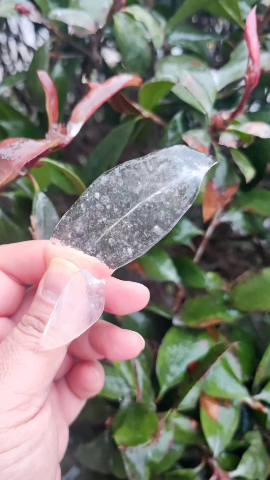 最深积雪10厘米山东三预警齐发日照天气