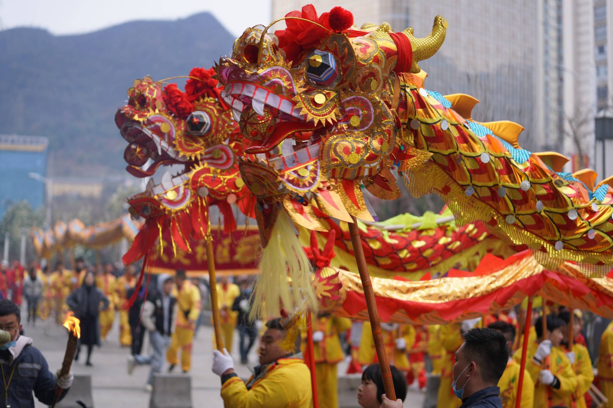 贵州金沙:亮龙游行庆佳节 群龙起舞"闹"新春