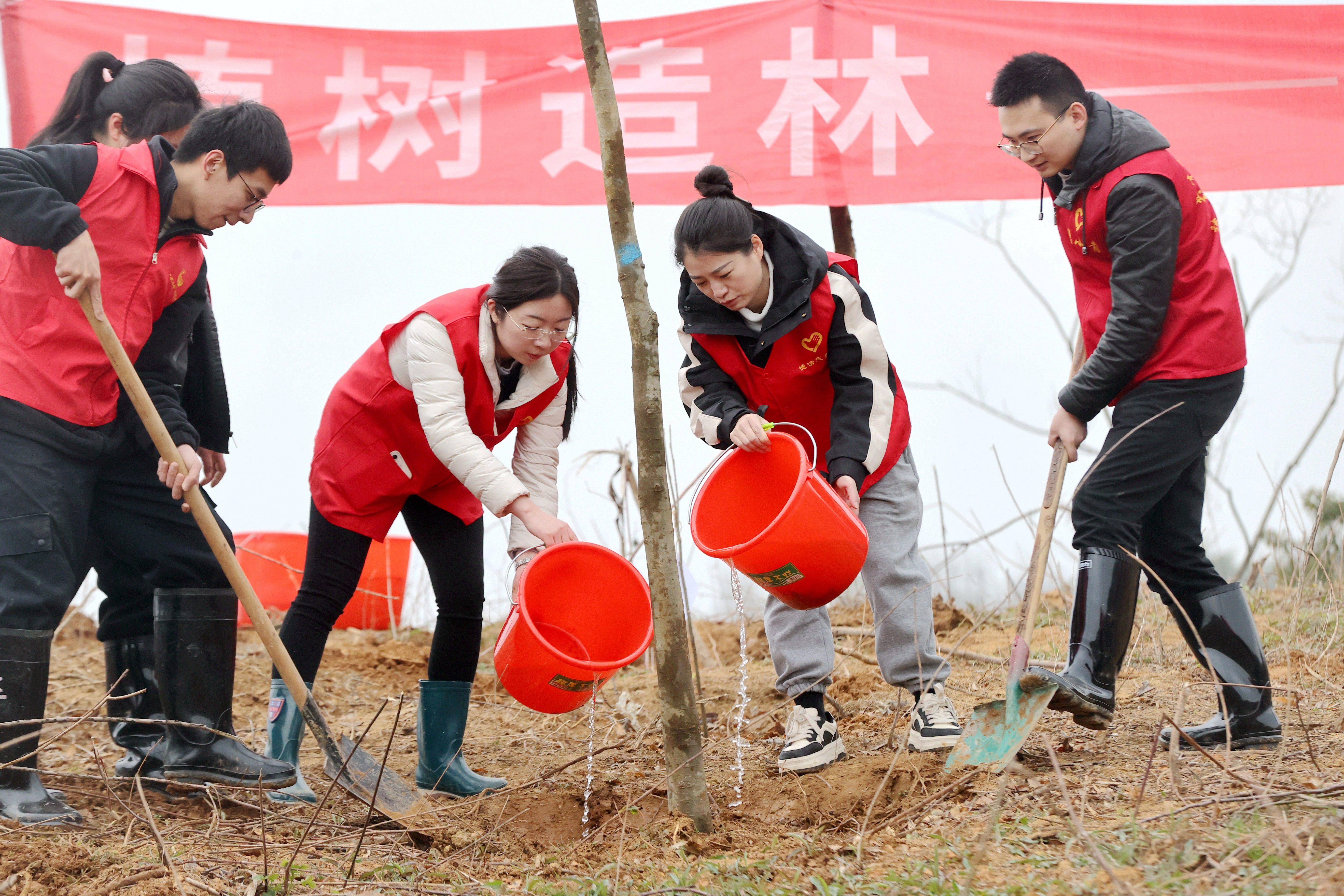 关于植树节的照片图片