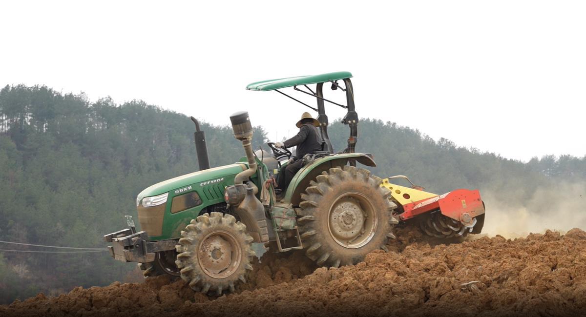 在竹山县宝丰镇公平村茶园地,大型农用机械正忙着翻土