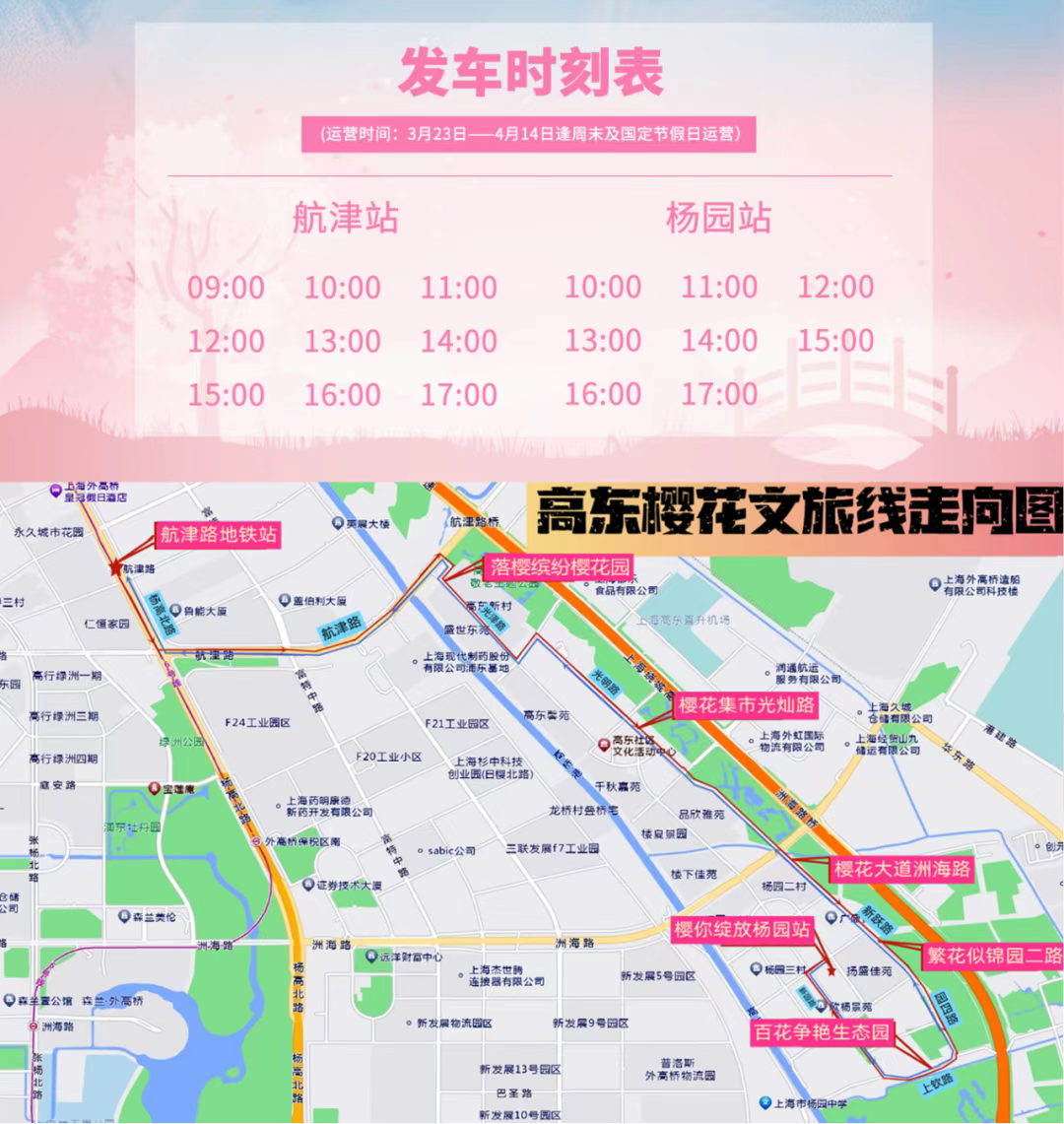 开启一场浪漫赏花之旅上海浦东这条樱花限定公交车来了