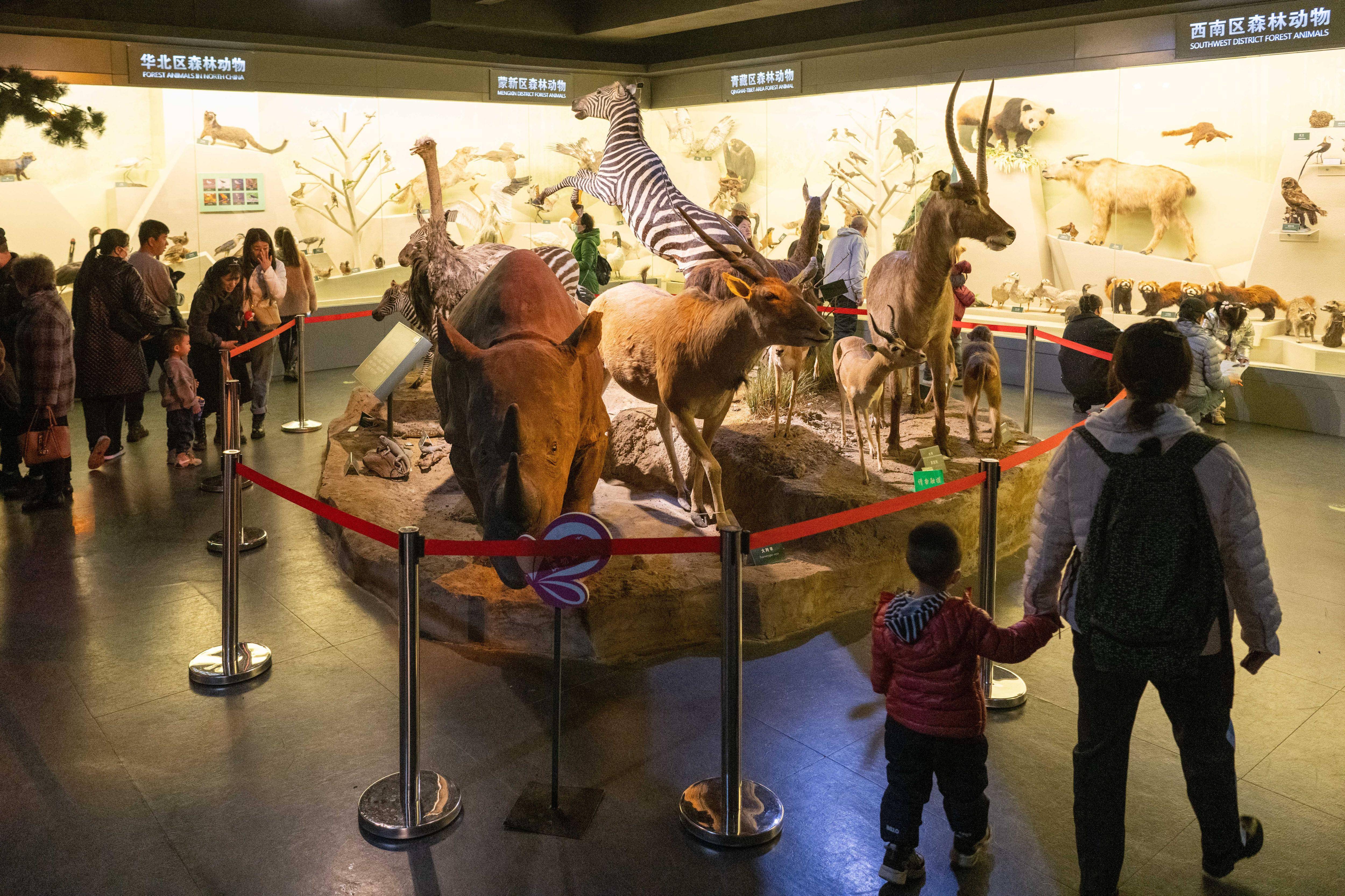 世界森林日:探访中国(哈尔滨)森林博物馆