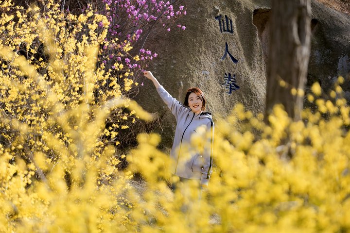 大珠山花期图片