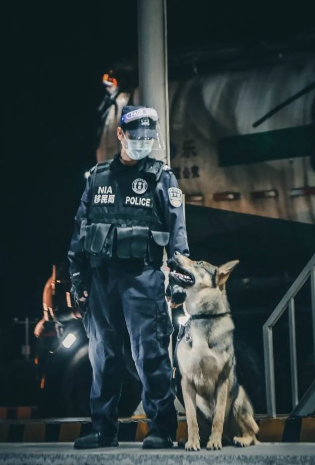 大型警犬图片 警察图片