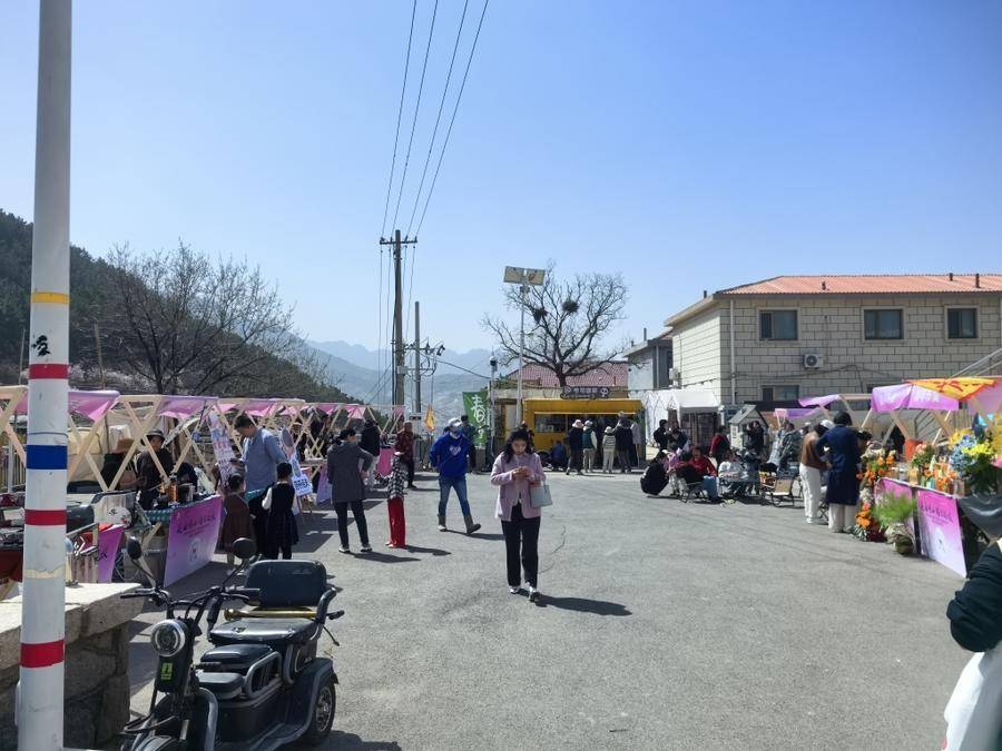 今年,北宅街道与崂山区慈善总会,青岛姜岐中华蜜蜂养殖研究院合作,将