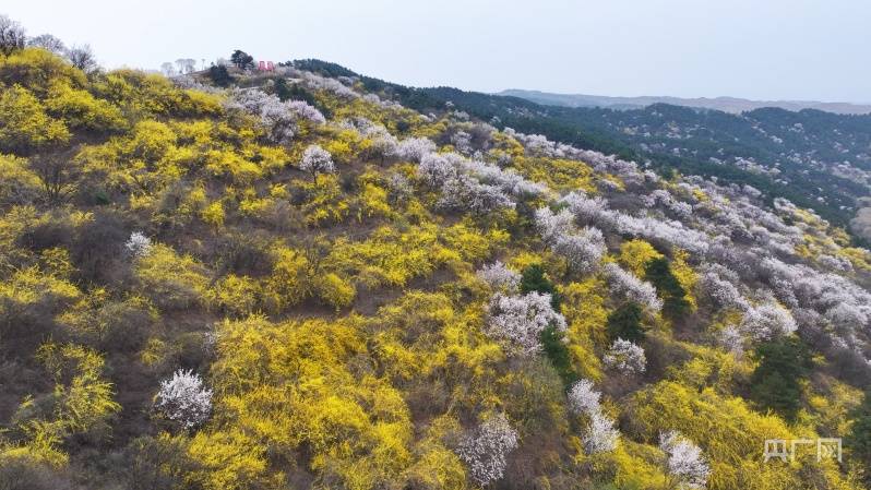 安泽旅游景点大全集图片