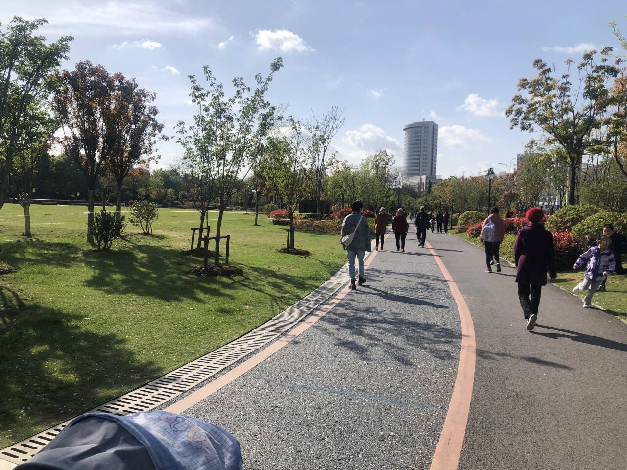 合肥杏花公园大草坪封闭多日,记者探访系草坪"轮休"