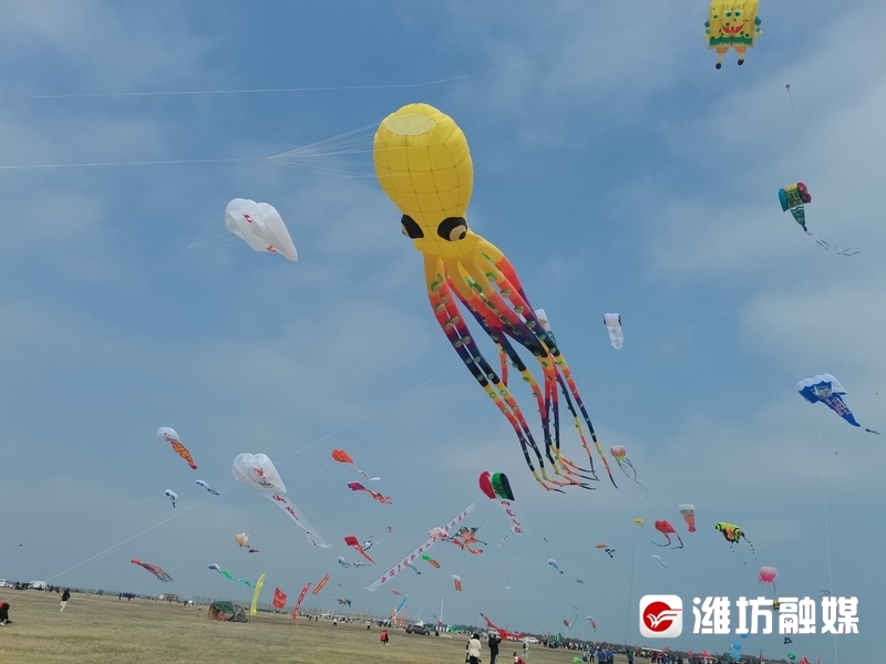 潍坊风筝大赛开赛千余只风筝上演空中盛宴