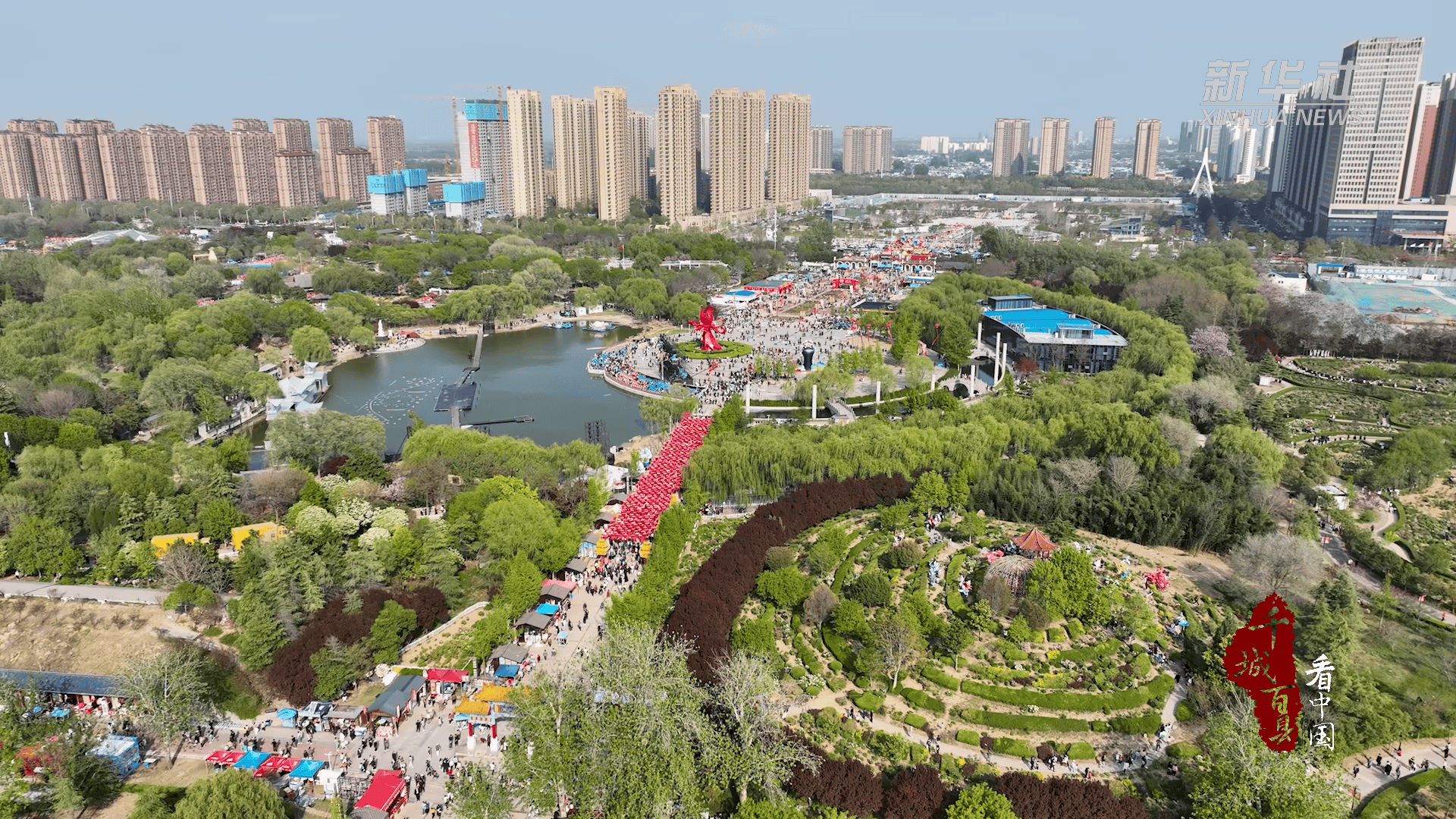 千城百县看中国丨山东菏泽:双花并艳促文旅融合-齐鲁晚报网