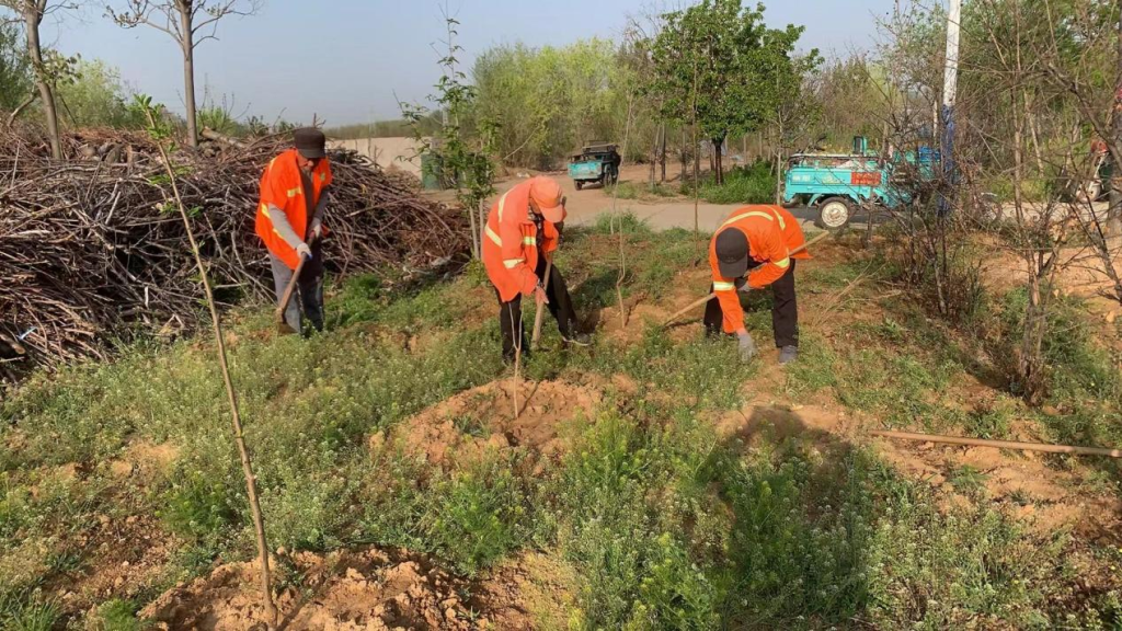 下一步,云山镇将持续推进人居环境整治工作,确保农村人居环境整治工作