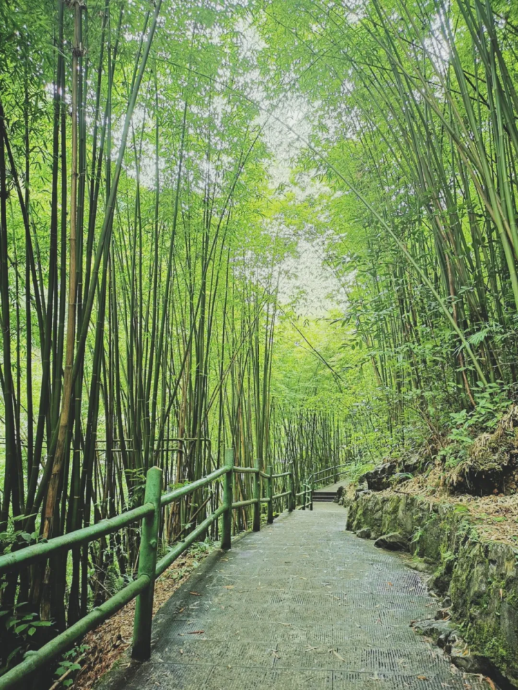 约吗?重庆多个景区中国旅游日免门票
