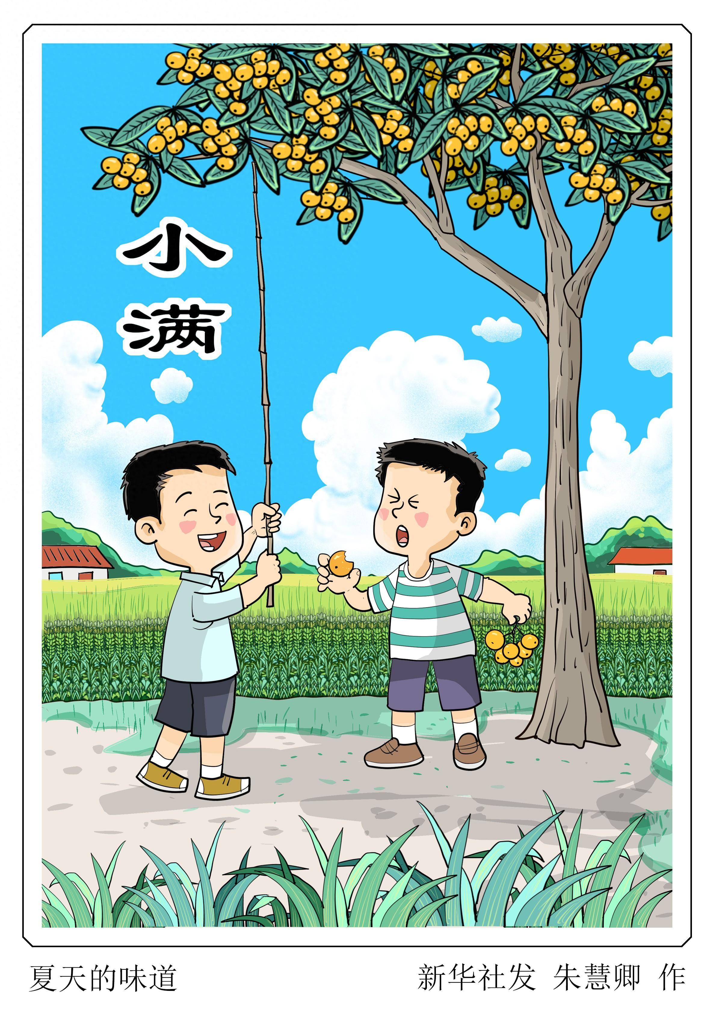 (图表·漫画)二十四节气·小满夏天的味道