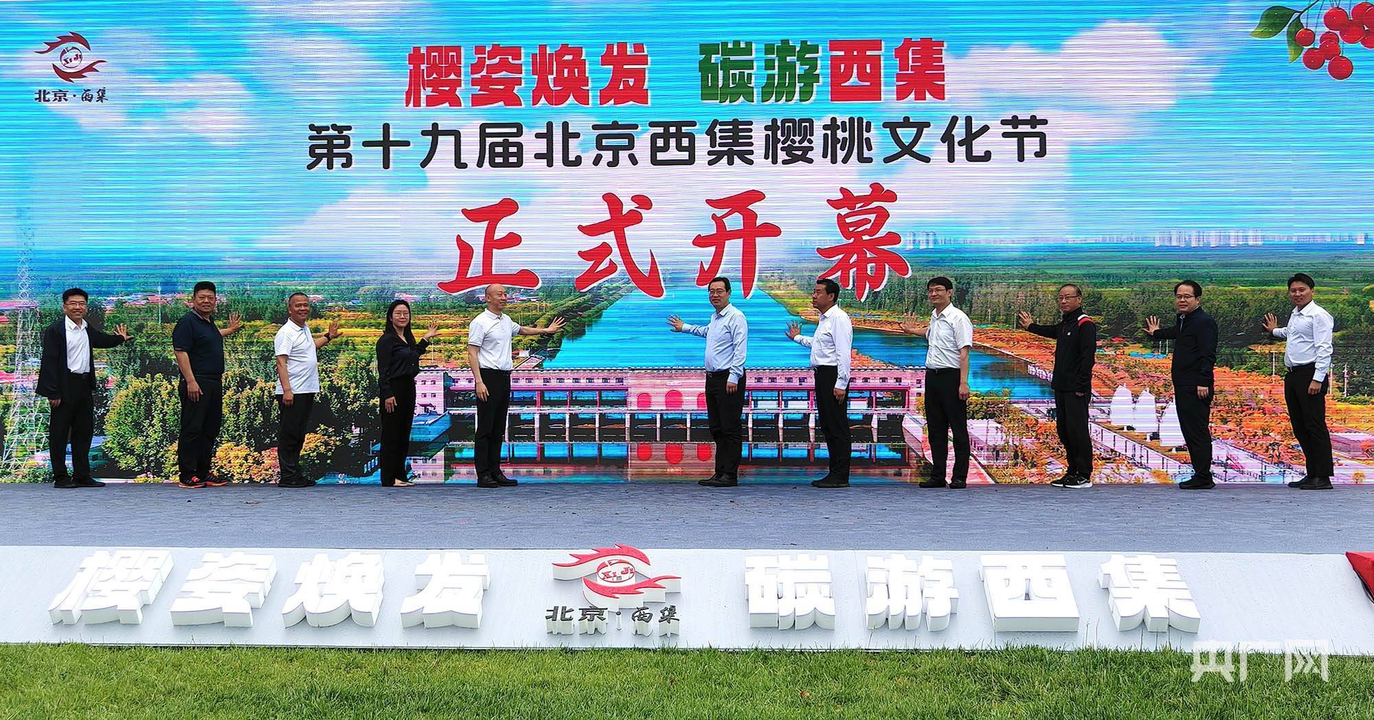 第十九届北京西集樱桃文化节开幕 近万亩樱桃进入采摘期