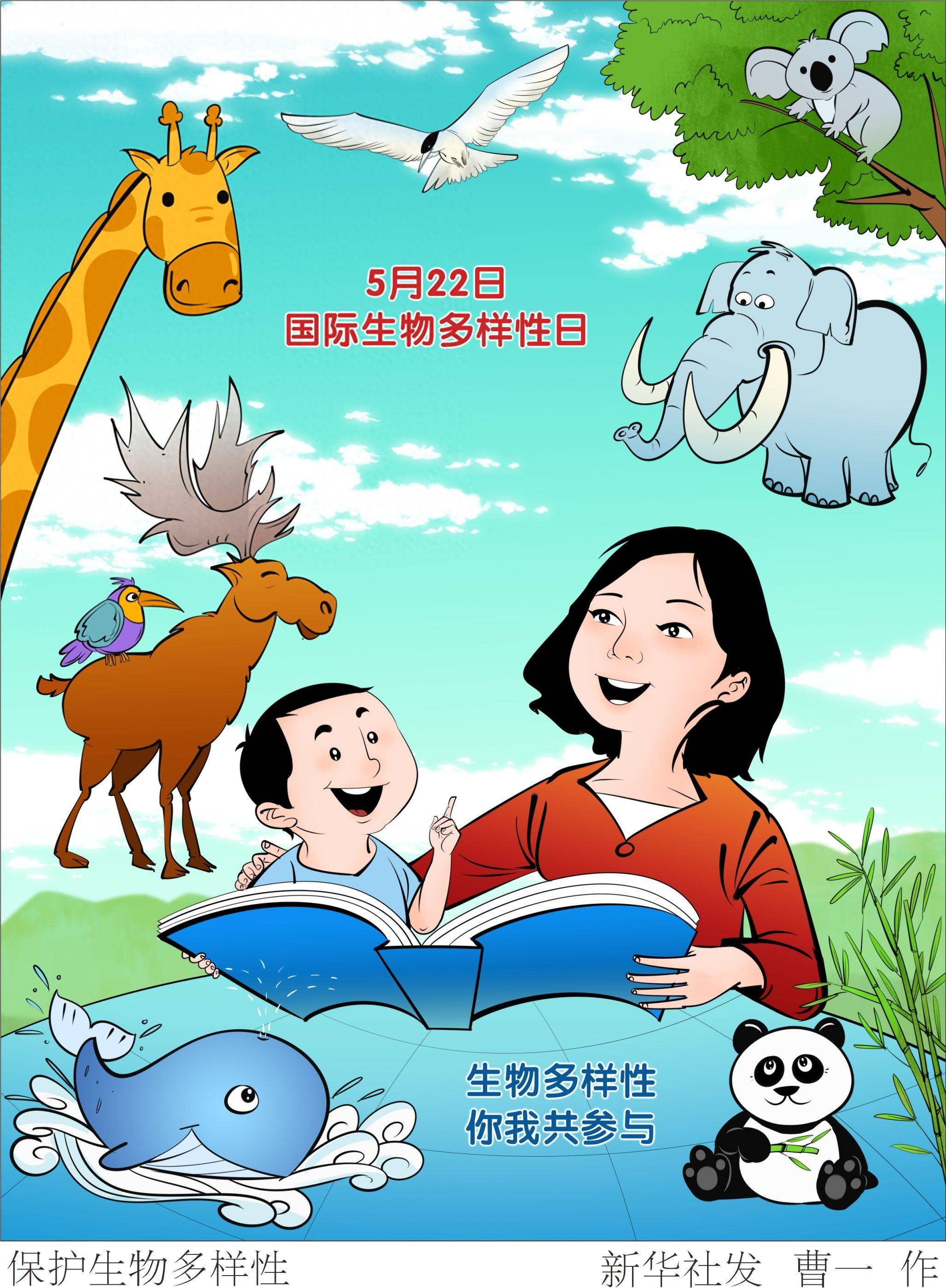 (图表·插画)国际生物多样性日保护生物多样性