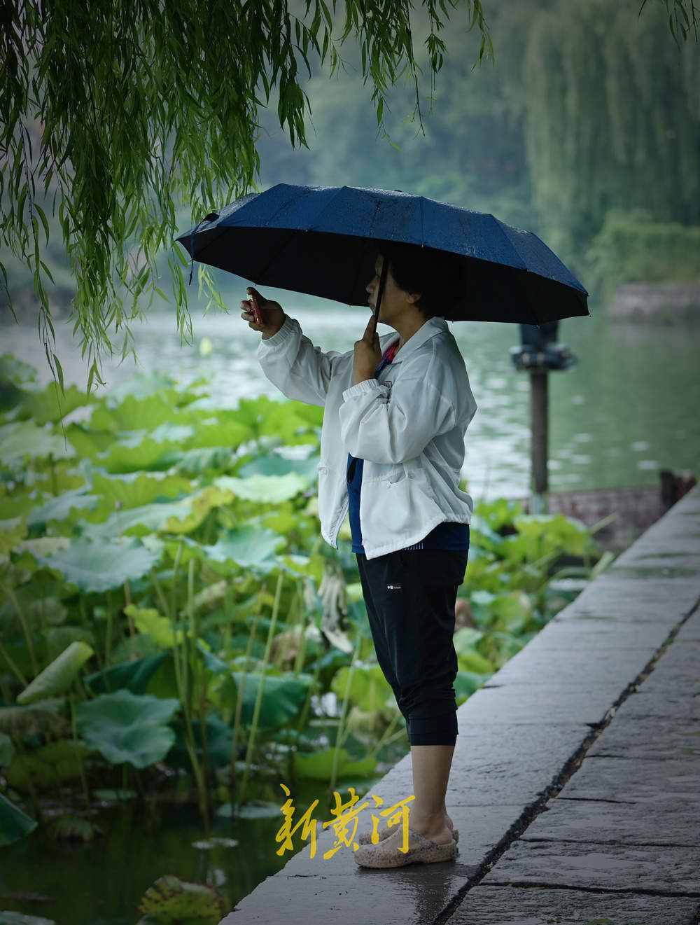 大雨霏霏图片