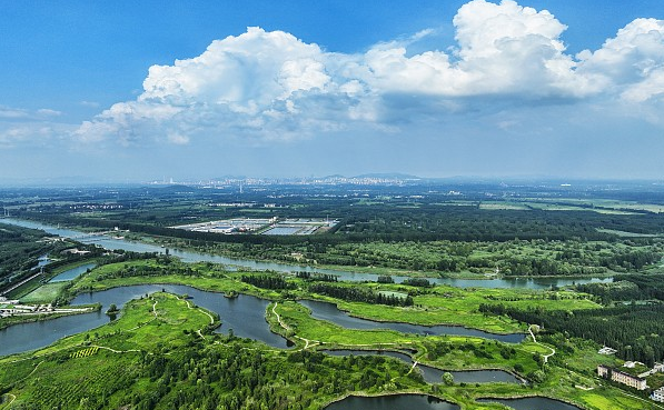 微山湖湿地公园简介图片