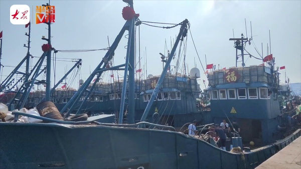 海上追鲜72小时万事俱备，只待开海！石岛渔港码头，数百渔船整装待发