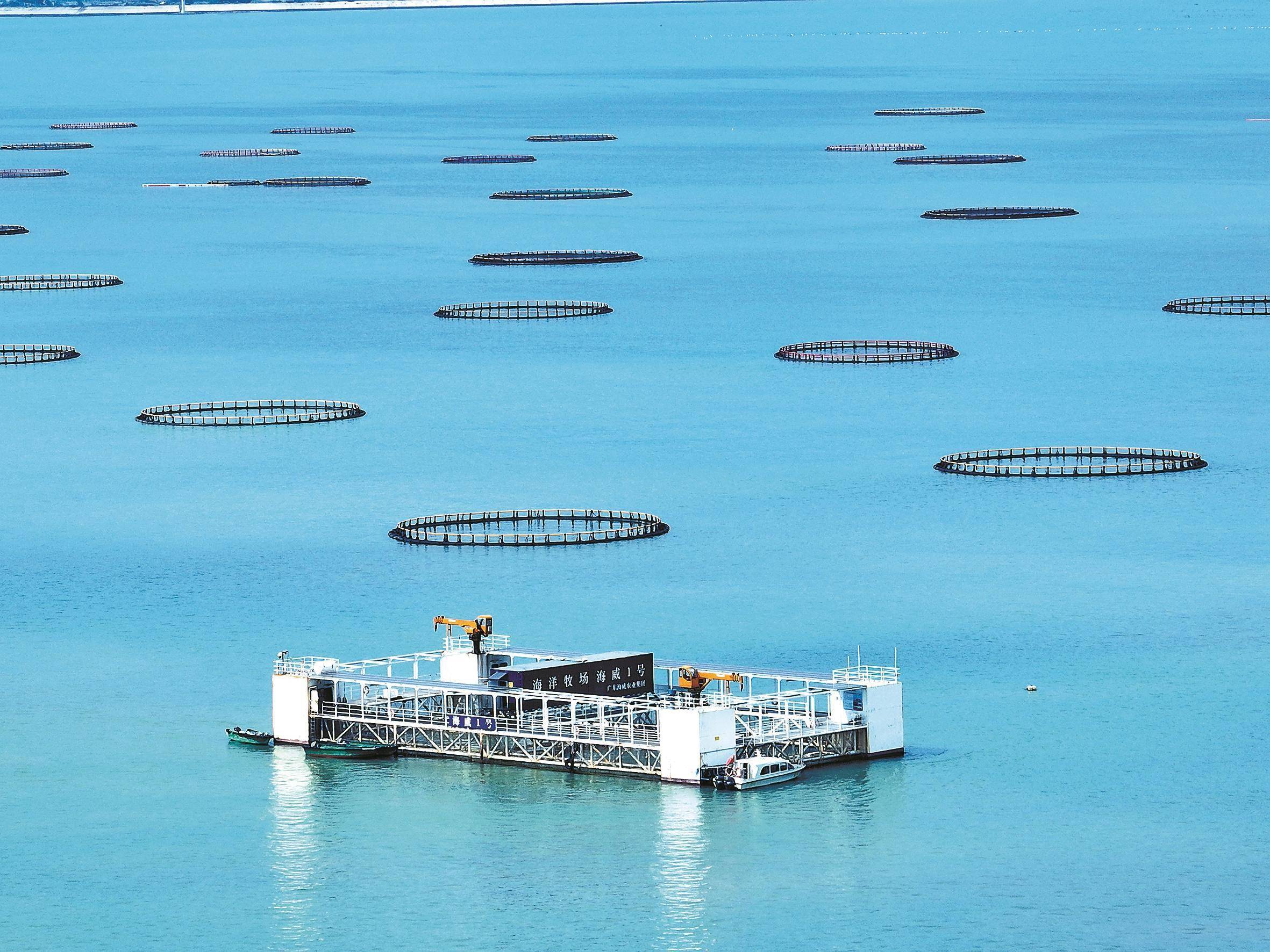 湛江:筑牢"蓝色粮仓" 提升海洋牧场智能化水平