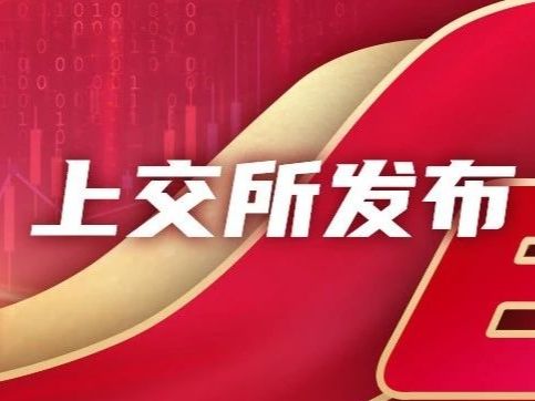 上交所：对于股票竞价交易异常情况的发生，本所深表歉意