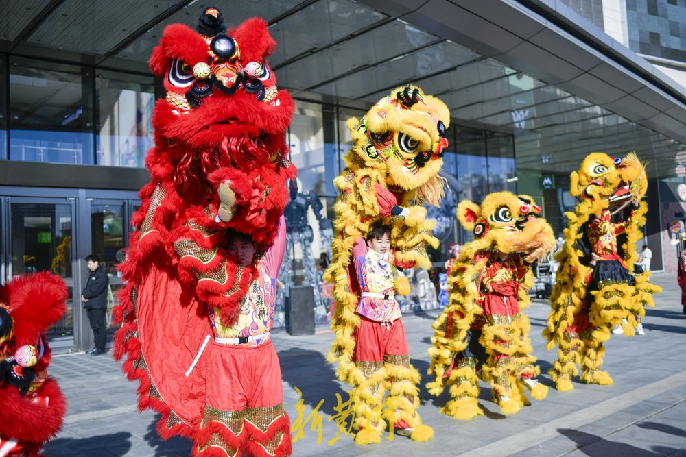 "泉"在济南过大年正月初一贺新春,舞狮表演来拜年