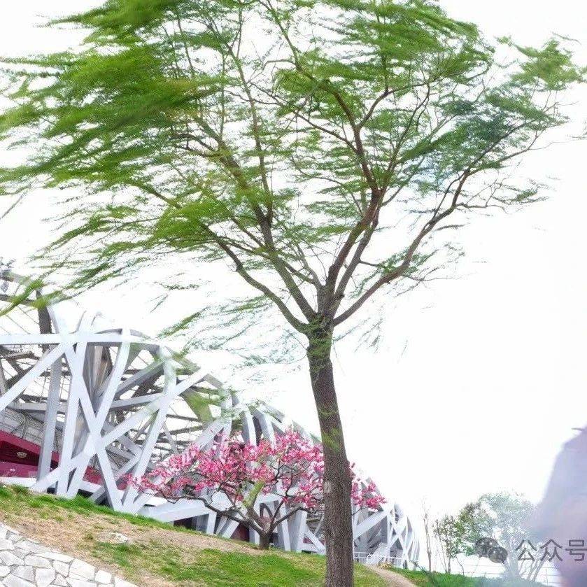 北京发布分区域大风橙色预警！这些地区仍“非必要不出行”