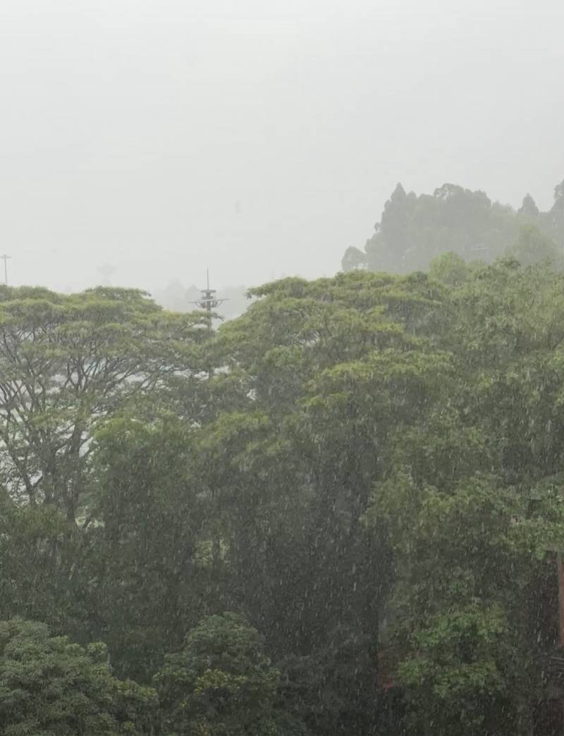 广州多区发布暴雨黄色预警！周五降水减弱，端午前期适宜出行