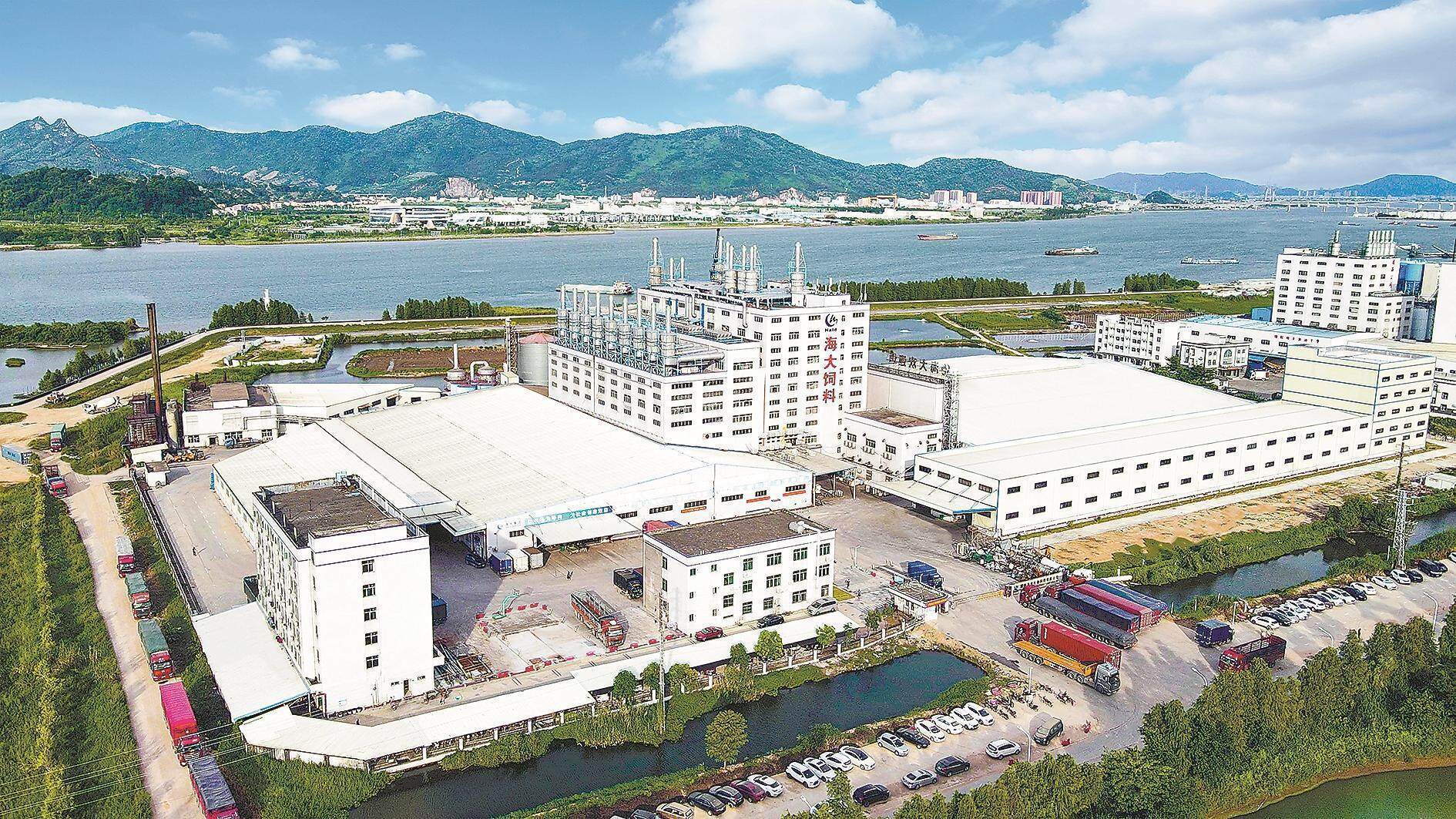海大集团超万名技术服务人员常年扎根田间塘头 草鱼与桂花鱼实现“逆袭”