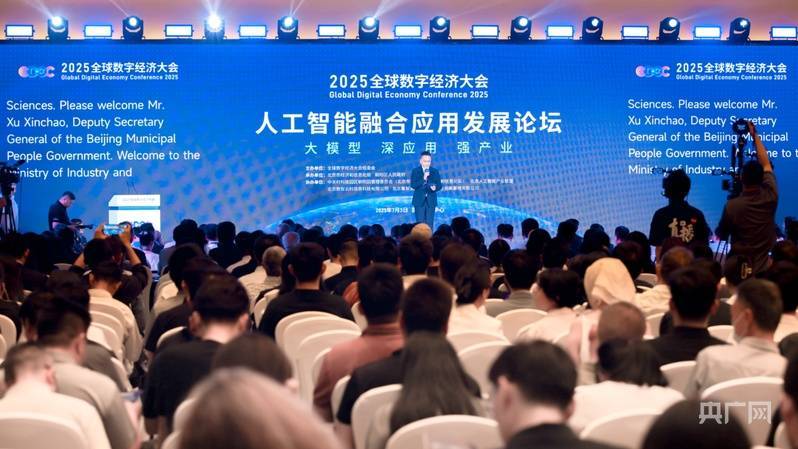 2025全球数字经济大会人工智能融合应用发展论坛举办