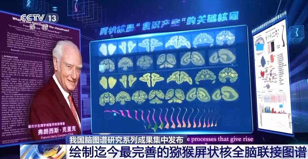 我国脑图谱研究系列成果集中发布 珍贵数据供国内外学者研究