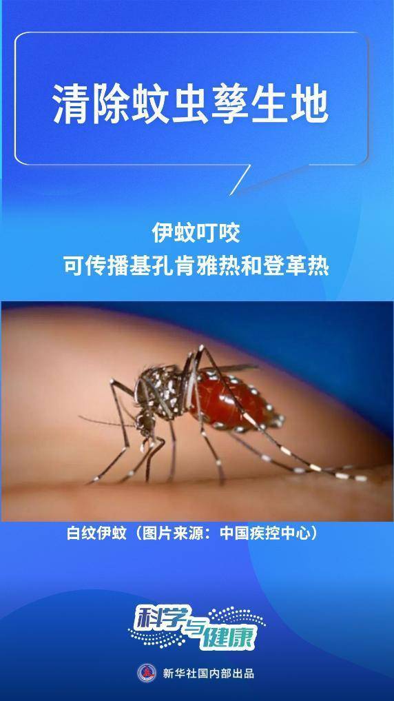 科学与健康丨清积水，灭蚊虫！基孔肯雅热这样防