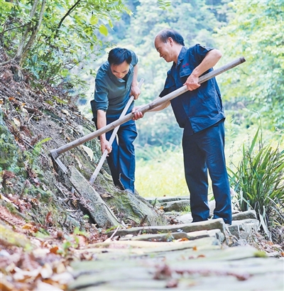 为苍苍古道重新聚起人气（守望）