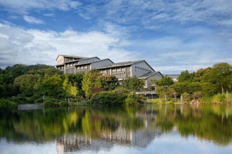 重庆理工大学就“男留学生与女生住同一栋楼”致歉！称已搬离