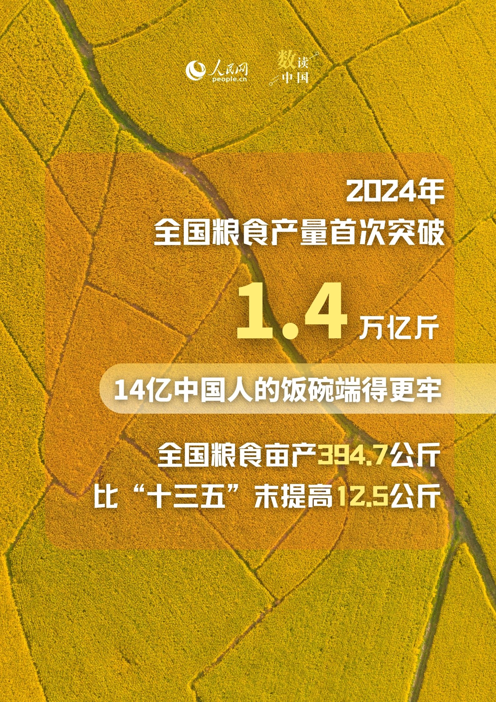 数读中国6个维度透视丰收节里“三农”新变化