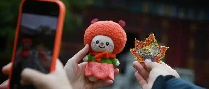 快去香山看红叶！18处观赏点+3条路线，这6天可能是高峰时段