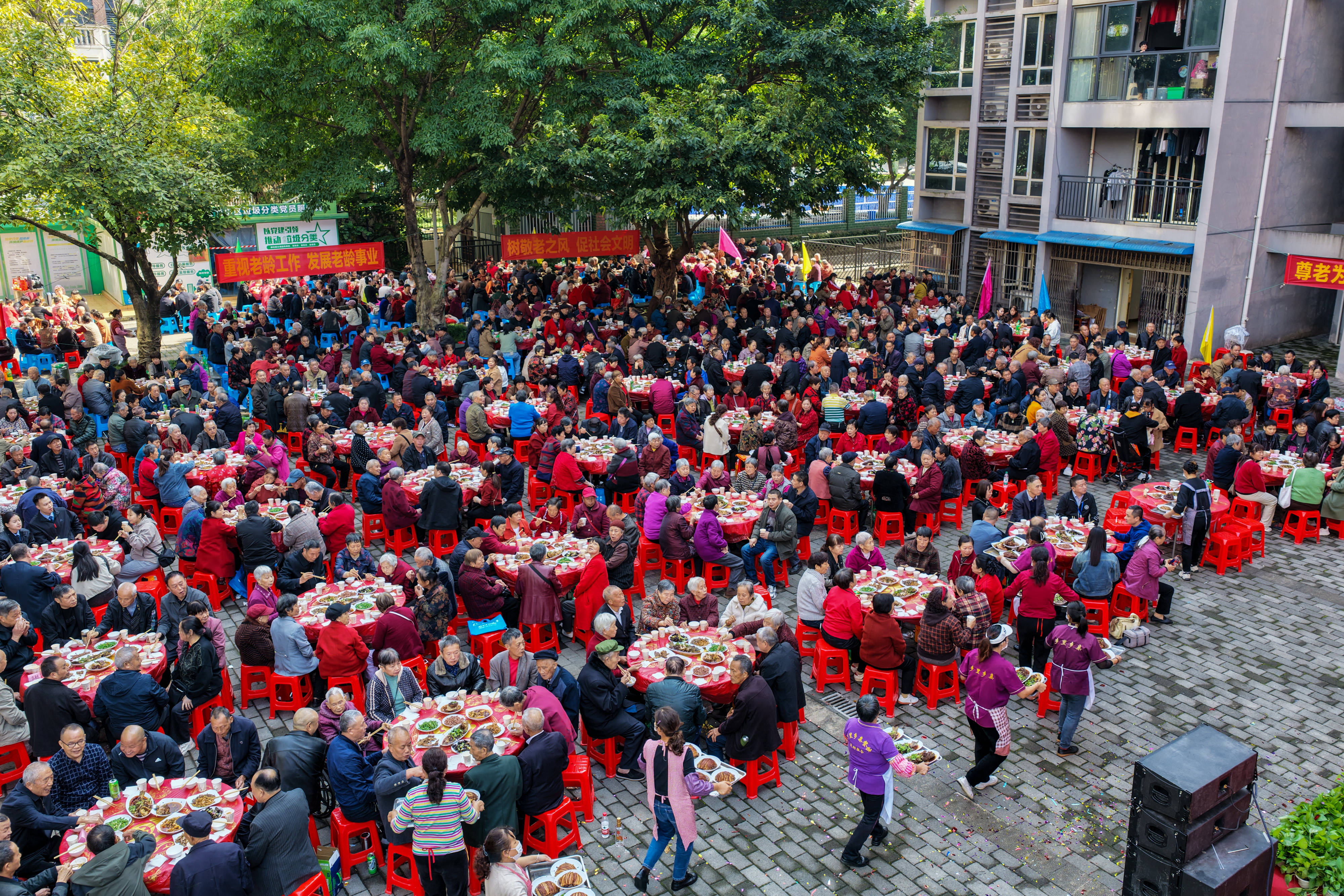 秀我中国重阳：九月九日眺山川，尊老敬老情意浓