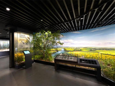 数字变革和人工智能席卷下 博物馆还能怎么逛？